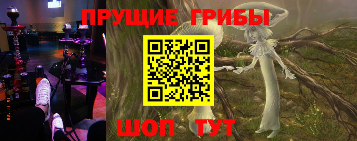 Псилоцибиновые грибы мухоморы Домодедово